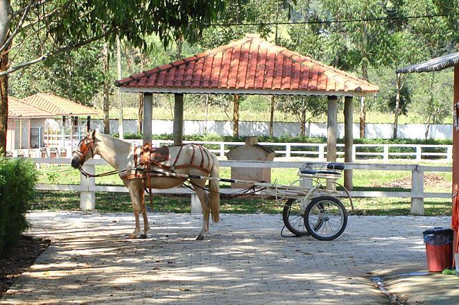 Resort Recanto Do Teixeira All Inclusive Nazaré Paulista 외부 사진